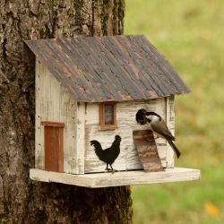 Chicken Coop Birdhouse