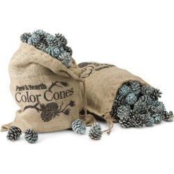 Color-Changing 2 lb. Bag Fireplace Color Cones, 2-Pack