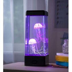 Large Jellyfish Aquarium