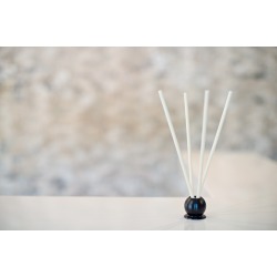 Pine Forest 10 Piece Pre-Scented Sticks with Vase