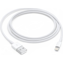 Apple Lightning to USB Cable (1 m)