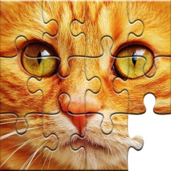 Unlimited Puzzles - Puzzlespiele für Kinder und Erwachsene