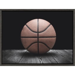 18" x 24" Sylvie Vintage Basketball Framed Canvas By Shawn St. Peter Gray - DesignOvation