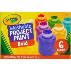 Crayola 6ct Washable Project Paint