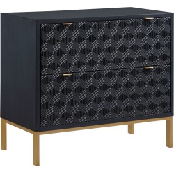 Teressa Mid-Century Modern 2 Drawer Storage Accent Chest Black/Gold - Treasure Trove