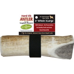 Elk Antlers for Dogs X-Large 8" Whole Chew