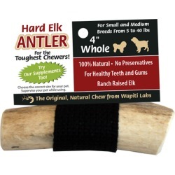 Elk Antlers for Dogs 4" Whole Chew