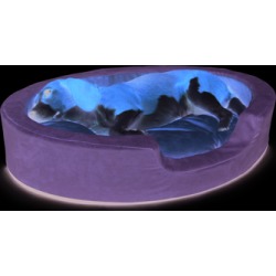 Heated Bolster Dog Bed Large Sage