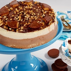 Peanut Butter Cup Cheesecake