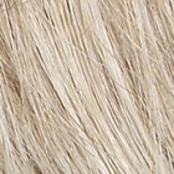 Raquel Welch Winner Wig R23S+ Glazed Vanilla - Average Womens Raquel Welch Wigs