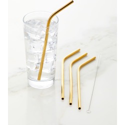 Stainless Steel Straws with Cleaner