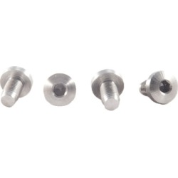 Ed Brown 1911 Allen Head Grip Screws - Allen Head Grip Screws S/S Quanity 4