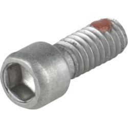 Ruger Grip Frame Screw, B-Back, Ss