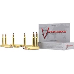 Nosler Varmageddon Ammo 243 Winchester 55gr Fbhp - 243 Winchester 55gr Flat Base Hollow Point 20/Box