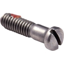 Ruger Grip Frame Screw, C-Bottom, Ss