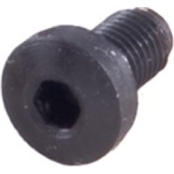 Egw 1911 Grip Screws - Grip Screws, Blued