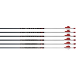 Easton 6mm Full Metal Jacket 320 Arrows with 2" Blazer Vanes, 6 Pk.