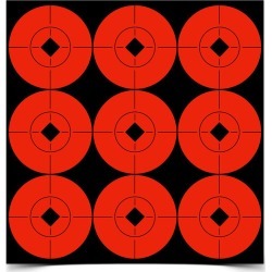 Birchwood Casey Target Spots 2