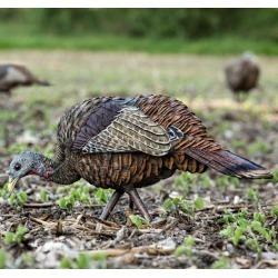 Zink Calls Avian-X LCD Feeder Hen Decoy