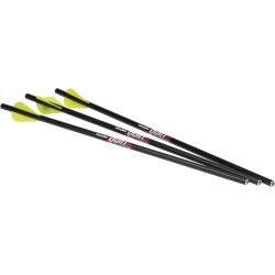 Excalibur Quill Illuminated Carbon Arrows, 3-Pack