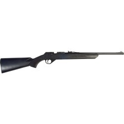 Daisy Model 35 Dual-Ammo Air Rifle