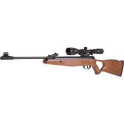 Diana Model 250 .22 Cal Air Rifle