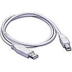 2m USB A to B Cable