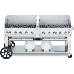 70 in X 21 in Outdoor Propane Club Grill