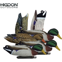 Higdon Magnum Mallard Foam-Filled Feeder Pack (Pk/6)