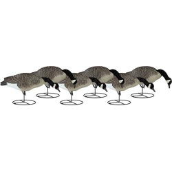 Dakota Decoy Canada Full Body Feeders (Pk/6)