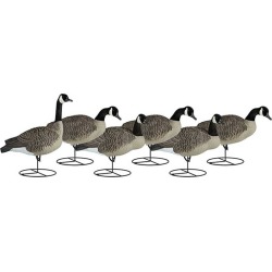 Dakota Decoy Canada Full Body Uprights (Pk/6)