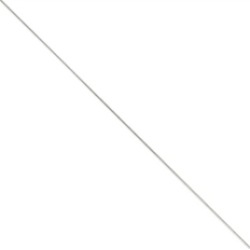 20 Inch 14k White Gold 0.70mm Box Chain Necklace W/lobster Catch