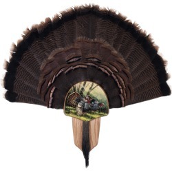 Walnut Hollow Turkey Display Kit with Spring Strut Image