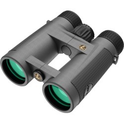 Leupold BX-4 Pro Guide HD 10x42 Binoculars, Shadow Gray