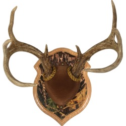 Walnut Hollow Deluxe Antler Display Kit, Solid Oak with Camo