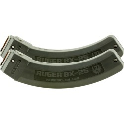 Ruger BX-25 Series 10/22 Magazine, 2-Pack