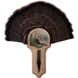 Walnut Hollow Deluxe Turkey Display Kit with Tom Foolery Image