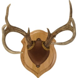 Walnut Hollow Deluxe Antler Display Kit, Solid Oak