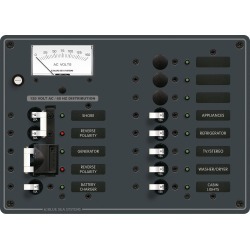 Blue Sea Systems AC 2 Sources +9 Positions Panel