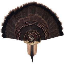 Walnut Hollow Turkey Display Kit Mount with Strutter Image