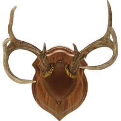 Walnut Hollow Deluxe Antler Display Kit, Solid Walnut