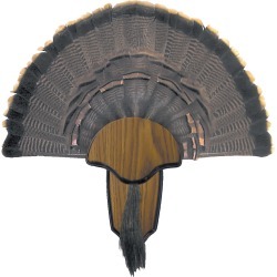 H.S. Strut Turkey Tail & Beard Mounting Kit