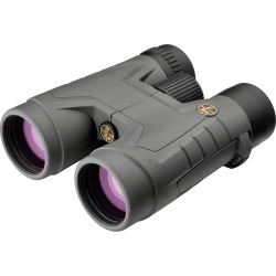 Leupold BX-2 Acadia Binoculars, 10x42, Shadow Gray