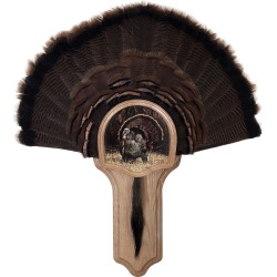 Walnut Hollow Deluxe Turkey Display Kit with Strutter Image