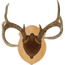 Walnut Hollow Solid Oak Antler Mount Kit