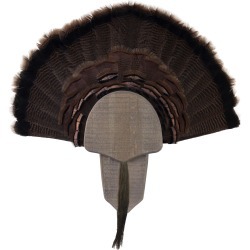 Walnut Hollow Turkey Mount Display Kit