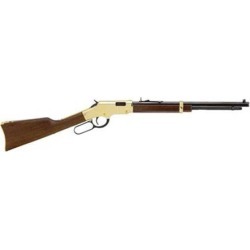 Henry Golden Boy Youth Rimfire Rifle