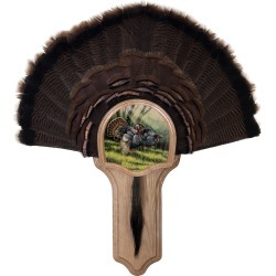 Walnut Hollow Deluxe Turkey Display Kit with Spring Strut Image