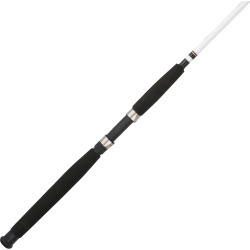 Berkley Big Game Spinning Rod