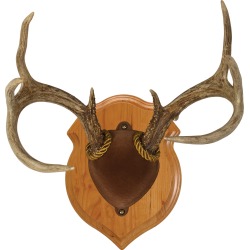 Walnut Hollow Deluxe Antler Display Kit, Solid Cherry